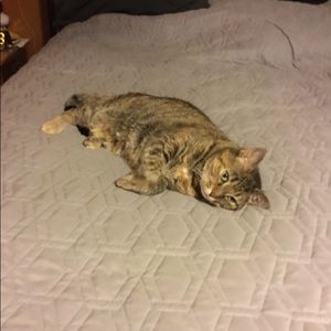 Meet your Posher, Amber